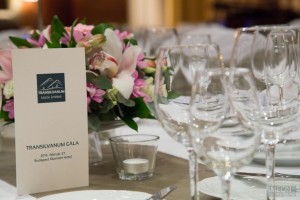 transilvanum-gala2016-03-300x200.jpg