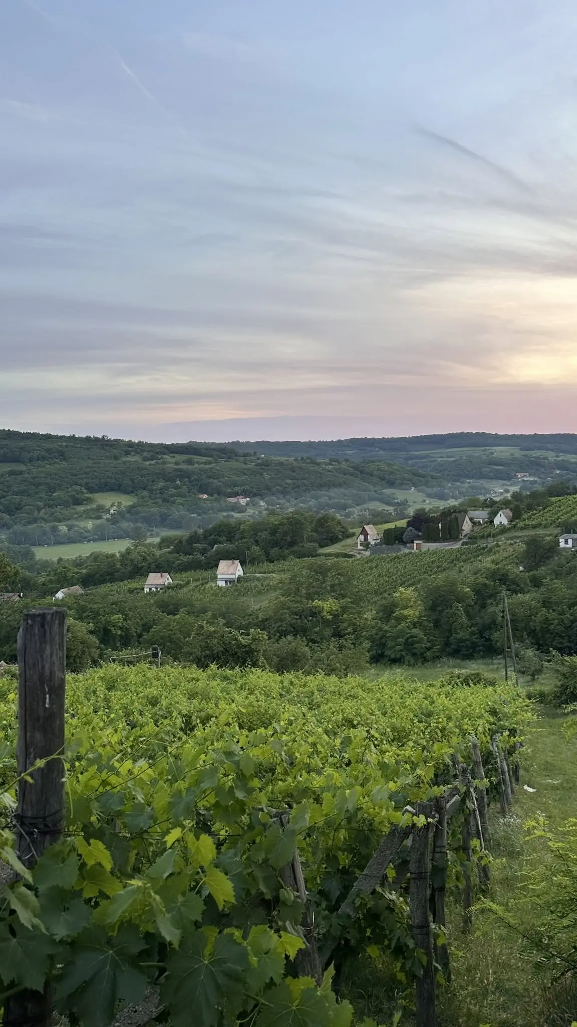 fiatalok-miszla-037.webp